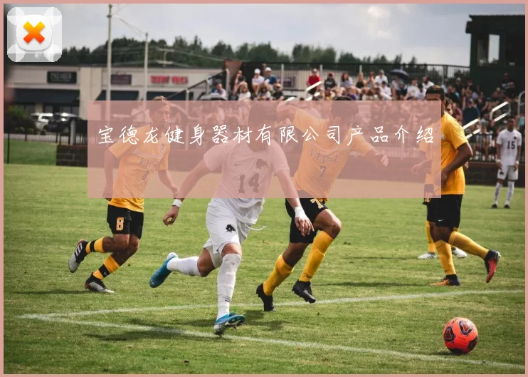 宝德龙健身器材有限公司产品介绍