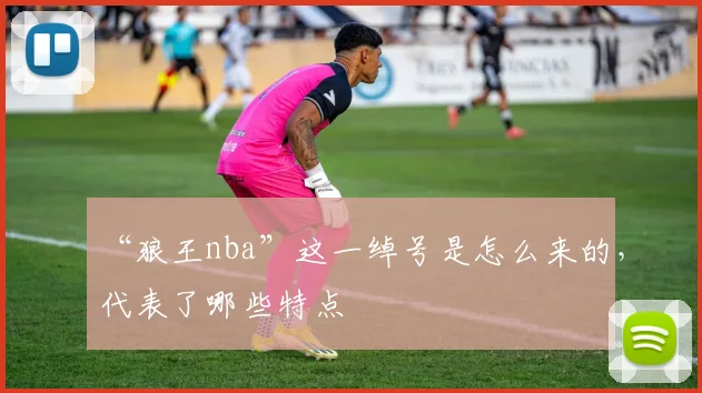 “狼王nba”这一绰号是怎么来的，代表了哪些特点