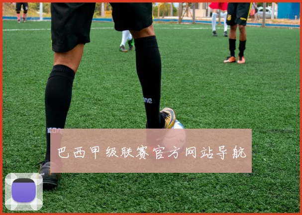 巴西甲级联赛官方网站导航