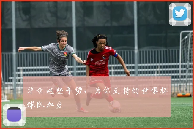 学会这些手势，为你支持的世俱杯球队加分