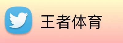 王者体育 logo